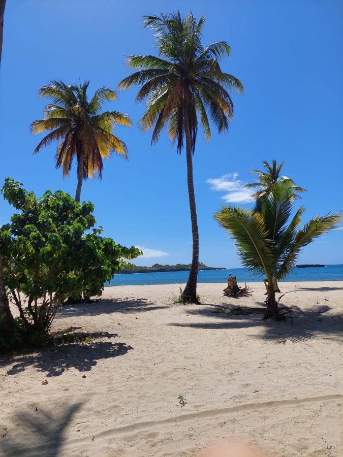 プエルト・プラタ Cabana Playa Cambiaso Bed & Breakfast エクステリア 写真