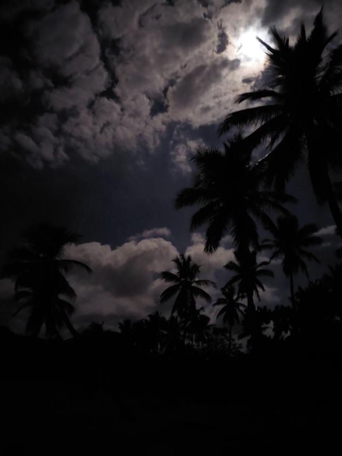 プエルト・プラタ Cabana Playa Cambiaso Bed & Breakfast エクステリア 写真